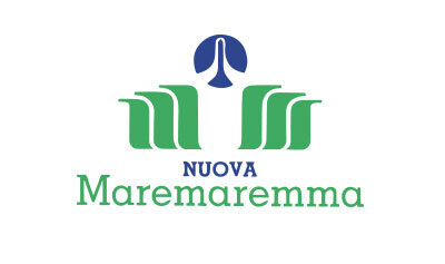 agenzia immobiliare mare immobiliare marina di grosseto